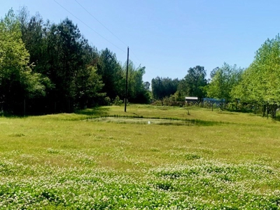 7. 4 acres Franklin County Camp, Shop and Pond  Near HNF - image 3