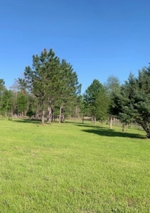 7. 4 acres Franklin County Camp, Shop and Pond  Near HNF - image 2