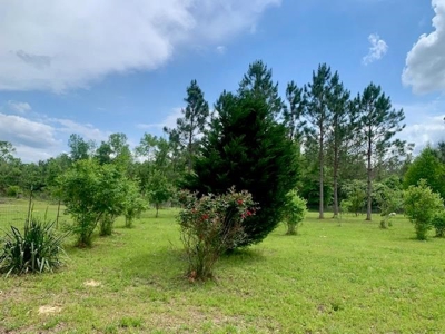 7. 4 acres Franklin County Camp, Shop and Pond  Near HNF - image 16