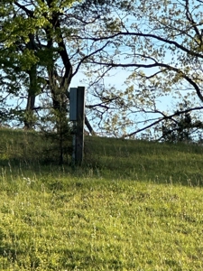 Lakeview Lot in Byrdstown, Tennessee - image 11
