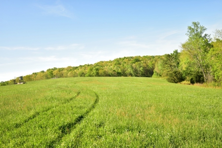 16 +/- acres of pasture land for sale spring creek $185,000 - image 18
