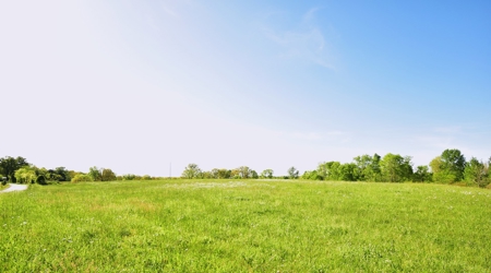 16 +/- acres of pasture land for sale spring creek $185,000 - image 26