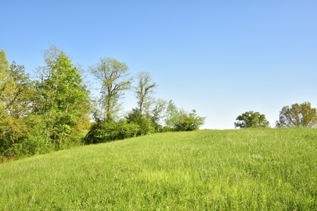 16 +/- acres of pasture land for sale spring creek $185,000 - image 19
