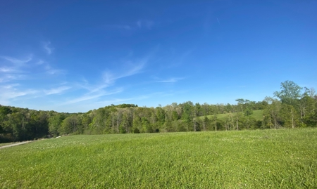 16 +/- acres of pasture land for sale spring creek $185,000 - image 4