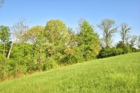 16 +/- acres of pasture land for sale spring creek $185,000 - image 21