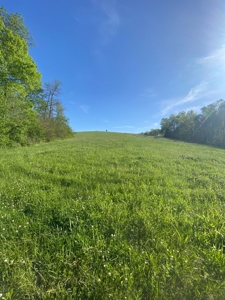 16 +/- acres of pasture land for sale spring creek $185,000 - image 5