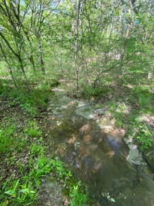 16 +/- acres of pasture land for sale spring creek $185,000 - image 7