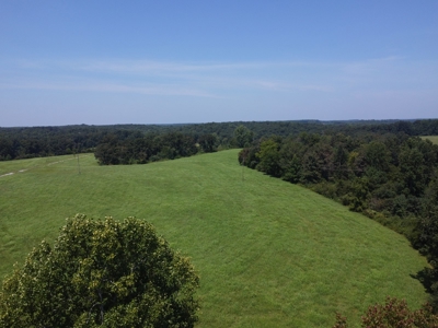 16 +/- acres of pasture land for sale spring creek $185,000 - image 9