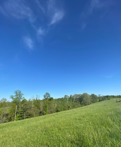 16 +/- acres of pasture land for sale spring creek $185,000 - image 3