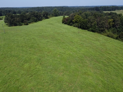 16 +/- acres of pasture land for sale spring creek $185,000 - image 11