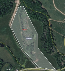 16 +/- acres of pasture land for sale spring creek $185,000 - image 2