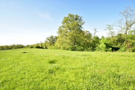 16 +/- acres of pasture land for sale spring creek $185,000 - image 24