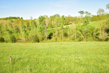 16 +/- acres of pasture land for sale spring creek $185,000 - image 15