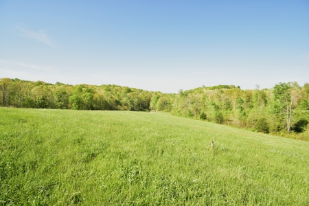 16 +/- acres of pasture land for sale spring creek $185,000 - image 14