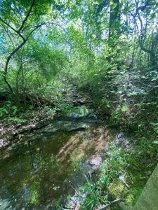 16 +/- acres of pasture land for sale spring creek $185,000 - image 8
