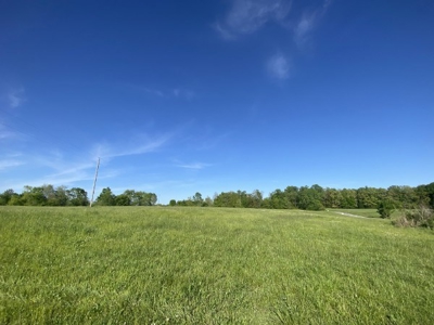 16 +/- acres of pasture land for sale spring creek $185,000 - image 1