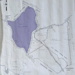 Double lot for sale in Laguna de San Carlos - image 5
