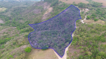 Double lot for sale in Laguna de San Carlos - image 4