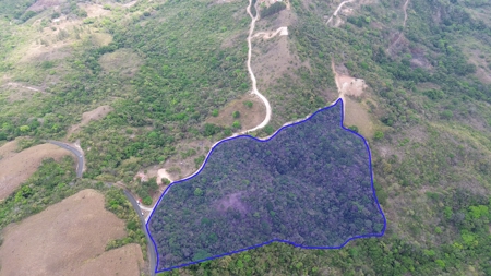 Double lot for sale in Laguna de San Carlos - image 2