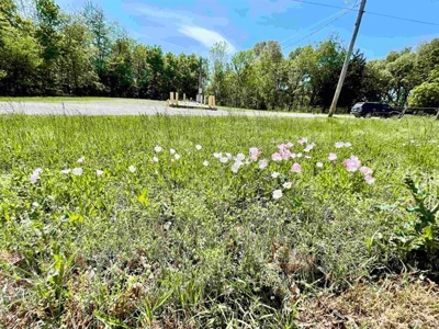 Commercial Lot Ash Flat AR for sale - image 19