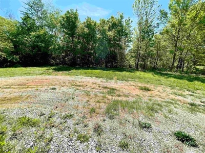 Commercial Lot Ash Flat AR for sale - image 9