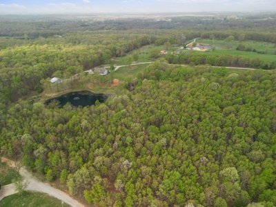 Beautiful Home & Wooded Land in Howell County, Missouri - image 35