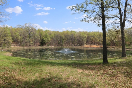 Beautiful Home & Wooded Land in Howell County, Missouri - image 31