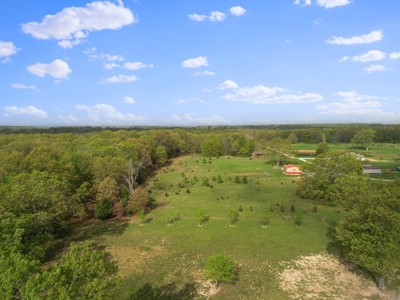 Beautiful Home & Wooded Land in Howell County, Missouri - image 36