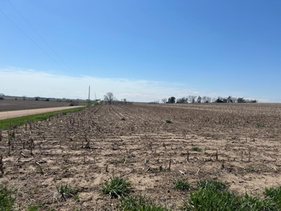 Nebraska Farm and Hunting Ground For Auction in Jansen NE. - image 3