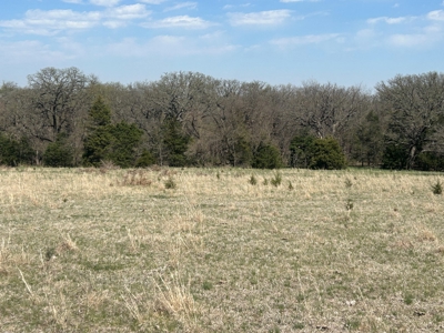 Nebraska Farm and Hunting Ground For Auction in Jansen NE. - image 6