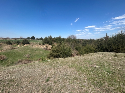 Nebraska Farm and Hunting Ground For Auction in Jansen NE. - image 5