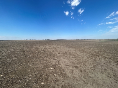 Nebraska Farm and Hunting Ground For Auction in Jansen NE. - image 4