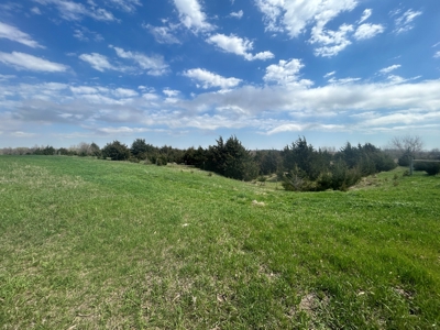Nebraska Farm and Hunting Ground For Auction in Jansen NE. - image 7