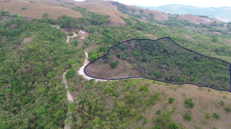 2 lots for sale of 6.38 hec in Laguna San Carlos - image 2