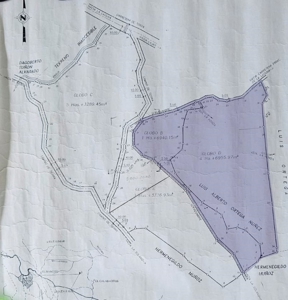 2 lots for sale of 6.38 hec in Laguna San Carlos - image 5