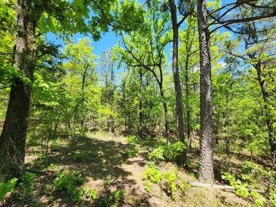 23.3 Acre Recreational Property – Winding Stair Mountains - image 8