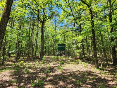 23.3 Acre Recreational Property – Winding Stair Mountains - image 5