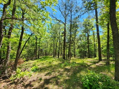23.3 Acre Recreational Property – Winding Stair Mountains - image 3