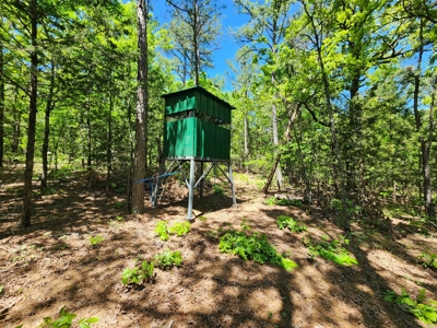 23.3 Acre Recreational Property – Winding Stair Mountains - image 9