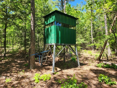 23.3 Acre Recreational Property – Winding Stair Mountains - image 2