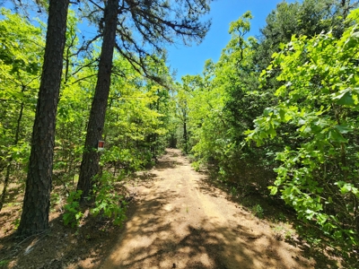 23.3 Acre Recreational Property – Winding Stair Mountains - image 6