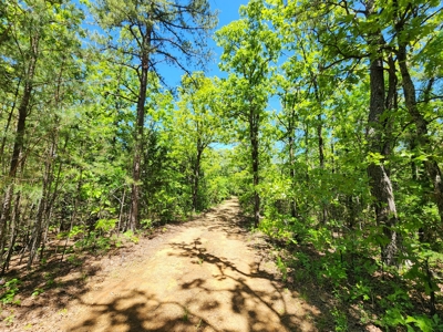 23.3 Acre Recreational Property – Winding Stair Mountains - image 7