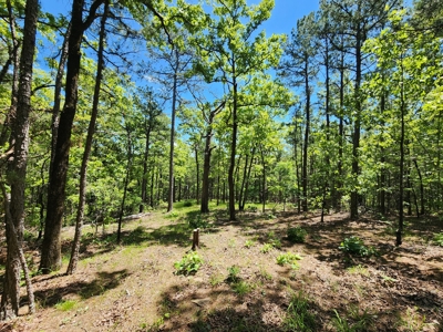 23.3 Acre Recreational Property – Winding Stair Mountains - image 1