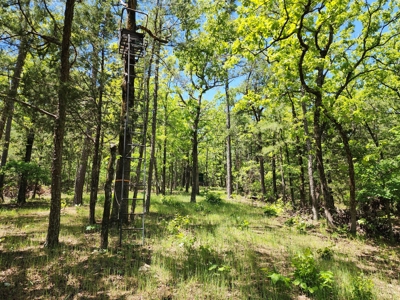 23.3 Acre Recreational Property – Winding Stair Mountains - image 11