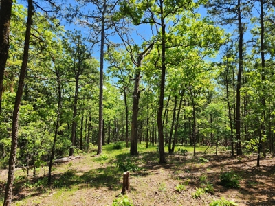 23.3 Acre Recreational Property – Winding Stair Mountains - image 10