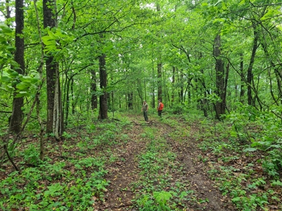 Over 1,000 acres for sale in central Kentucky-Timber or Hunt - image 4