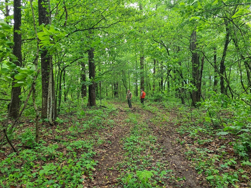 Hiking and ATV trails throughout the property
