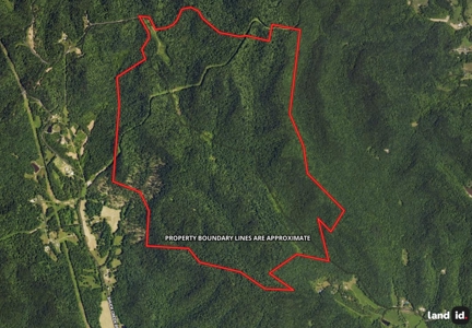 Over 1,000 acres for sale in central Kentucky-Timber or Hunt - image 1