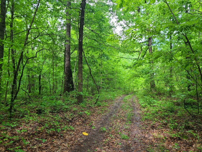 1004 ac for sale in Kentucky