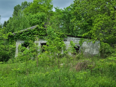 Over 1,000 acres for sale in central Kentucky-Timber or Hunt - image 3